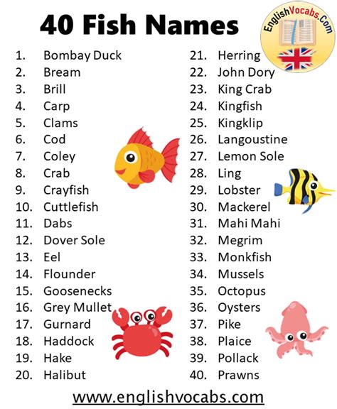 1000 Fish Names List From A To Z English Vocabs