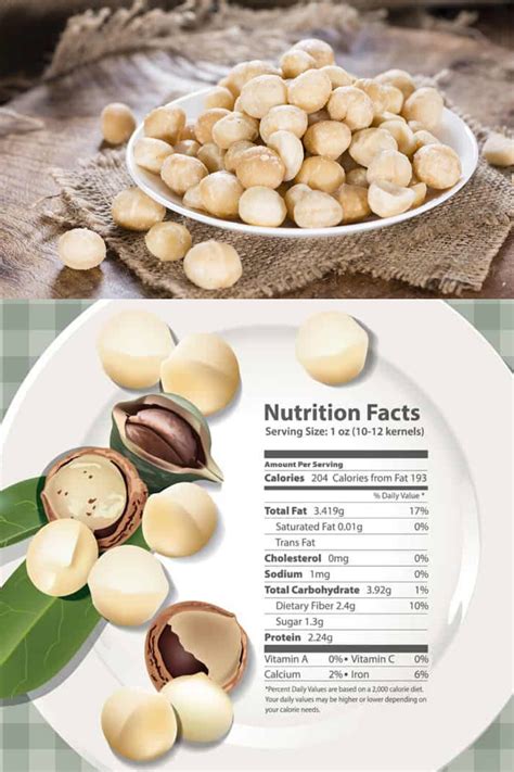 35 Different Types Of Nuts And Seeds Macadamia Nut Benefits Nut