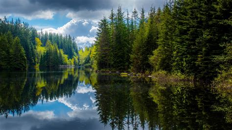 Canada British Columbia Lake Trees Spring Reflection