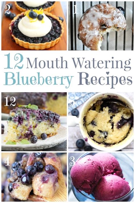 12 mouth watering blueberry recipes design dazzle