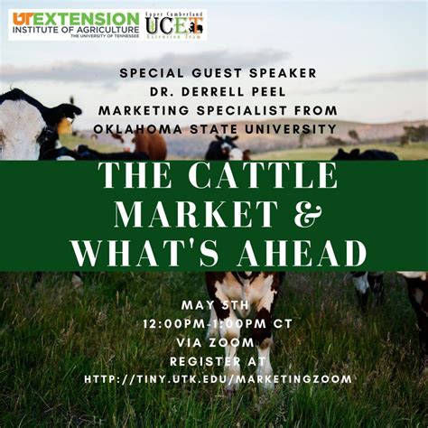 Ut Extension News The Cattle Market And Whats Ahead Smith County
