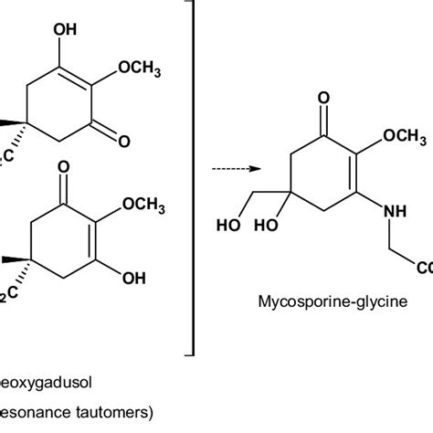 Pdf Mycosporine Like Amino Acids And Marine Toxins The Common And