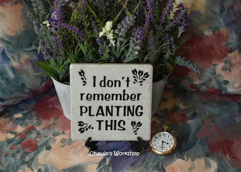 I Dont Remember Planting This Funny Garden Sign Funny Etsy Canada