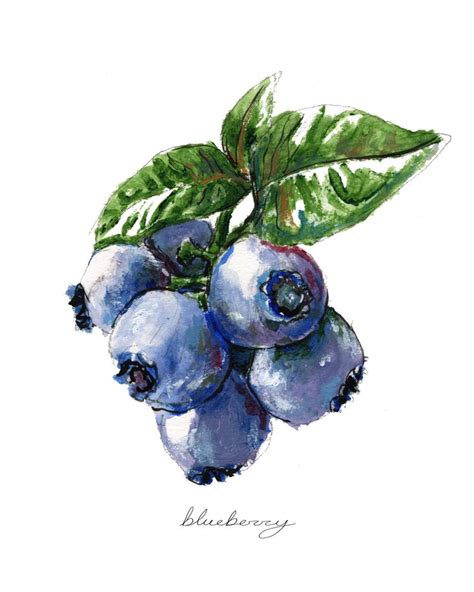 Blueberry Print Food Art Food Illustration Fruit Print Etsy