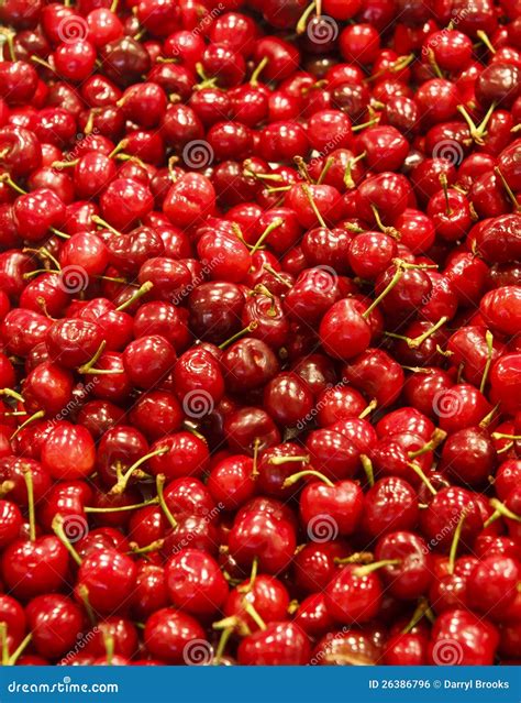 Fresh Cherries In A Market Stock Photo Image Of Bing 26386796