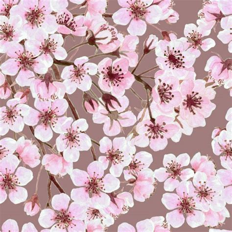 Find stockbilleder af floral seamless pattern cherry blossom vector i hd og millionvis af andre royaltyfri stockbilleder, illustrationer og vektorer i shutterstocks samling. Watercolor border with cherry blossoms — Stock Photo ...