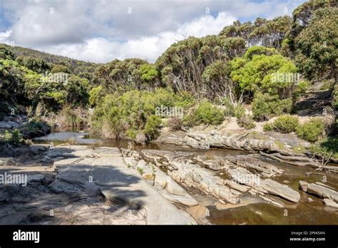 Creek Along The Ravine Of Casoars Hike Flinders Chase National Park