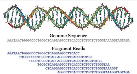 Dna Sequencing Basics And Its Applications Semantic Scholar