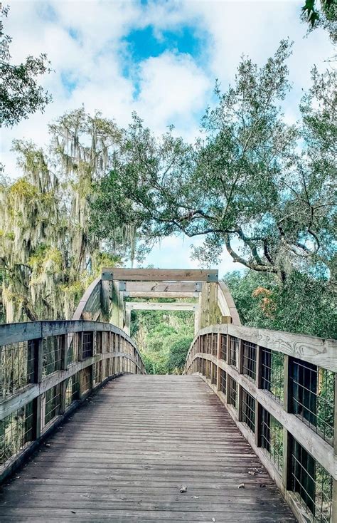 10 Scenic Nature Parks For Hiking In Tampa Bay In 2021 Florida State