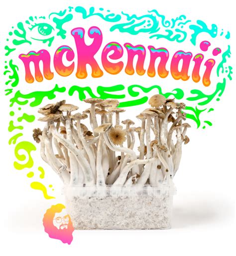 Mckennaii Magic Mushroom Growkit
