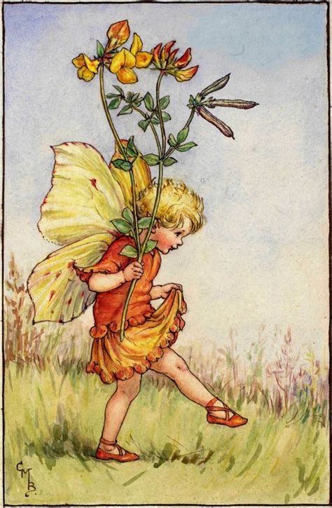 Flower Fairies Of The Summer Flower Fairies Fairy Art Cicely Mary