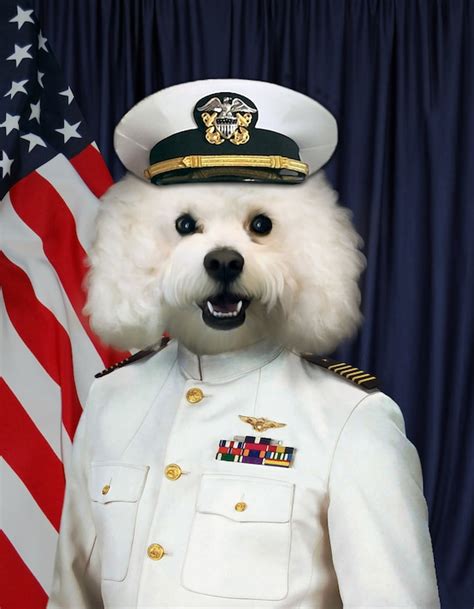 Custom Pet Portrait In Navy Uniform Sailor Captain United Etsy