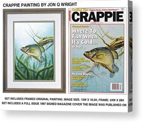 Crappie And Minnows Acrylic Print By Jq Licensing