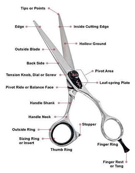 Taper haircuts are scissor cut all over. Terminology of Scissors | boldbarber.com