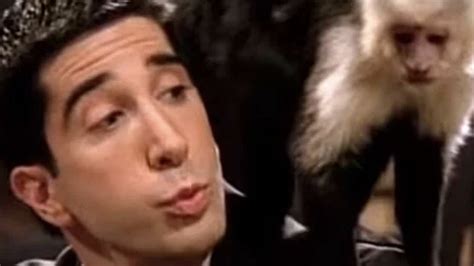 The Friends Monkey Trainer Has Some Harsh Words For David Schwimmer