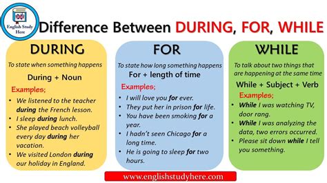 Difference Between During For While English Study Here