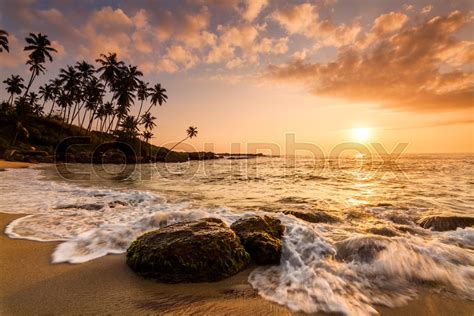 Sunset On The Beach With Coconut Palms Stock Image Colourbox
