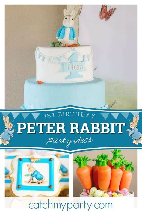 Peter Rabbit Birthday The Tale Of Liams First Birthday Catch My