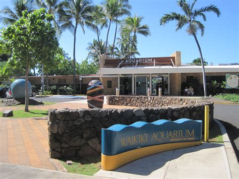 Waikiki Aquarium Third Oldest Aquarium In The Us Only In Hawaii