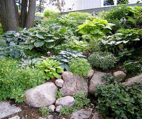 Fabulous Rock Garden Ideas For Backyard And Front Yard 47 Sloped