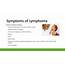PPT  Non Hodgkin’s Lymphoma PowerPoint Presentation Free Download