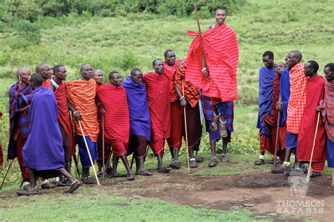 Growing Up Up Up The Maasai Jumping Dance Thomson Safaris