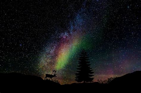 Starry Sky Galaxy Star Milky · Free Image On Pixabay
