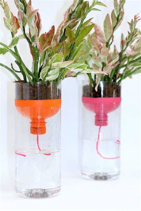 Diy Self Watering Planters With Recycled Bottles 1000 In 2020 Plant