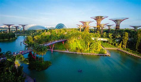 Gardens By The Bay Visite En Photos Des Extraordinaires Jardins De