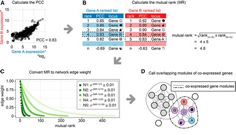 Figure 1 From A Global Coexpression Network Approach For Connecting