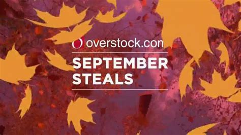 Overstock Com September Steals Tv Spot Prices Are Falling Ispot Tv