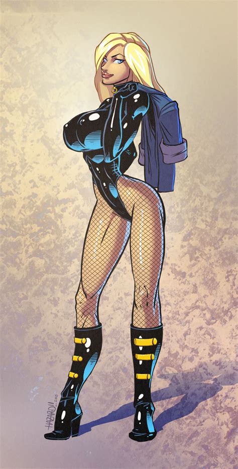 Black Canary By Firstedition On Deviantart Dc Comics Characters Female Characters Zelda