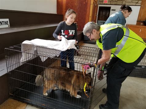 Kansas animal rescue volunteers ready to help Florida pets - KAKE