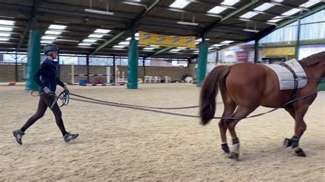 Long Reining And Lunging With 2 Reins Starter Guide Youtube