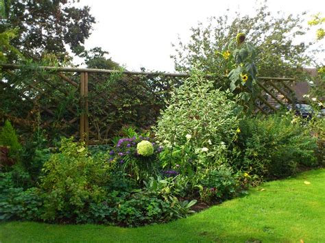 Trellis fence panels are another beautiful addition to any outside area. Rustic Trellis Panels - Hartwells Fencing