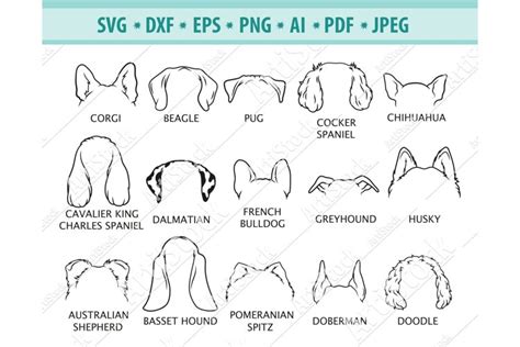 Share More Than 70 Minimalist Dog Ear Outline Tattoo Best Vn