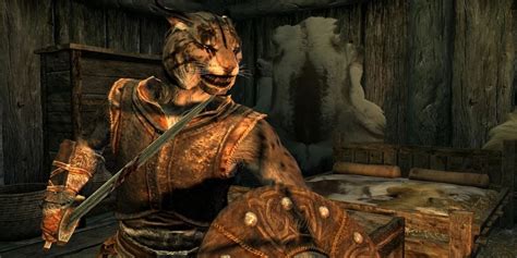 How Skyrim S Khajiit Differ From Those In Morrowind Oblivion And More