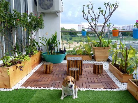 6 Easy Steps To Set Up A Terrace Garden Grab A Piece Of Your Heaven