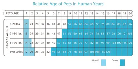 This calculator uses a method developed by monsieur lebeau. Dog Years Vs Human Years | petpace