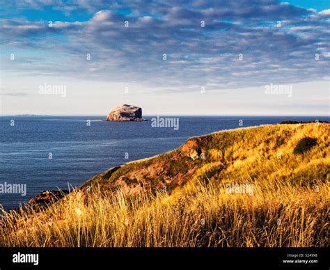 Bass Rock Stock Photo Alamy