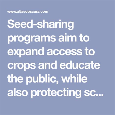 Why So Many Public Libraries Are Now Giving Out Seeds Public Seeds