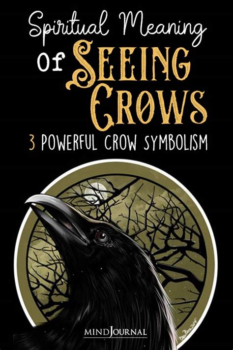 Spiritual Meaning Of Seeing Crows 3 Powerful Crow Symbolism