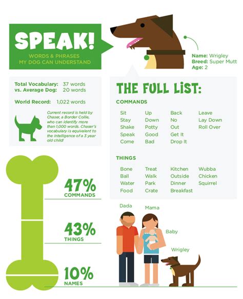 Words And Phrases My Dog Knows Including Average Words A Dog Knows And