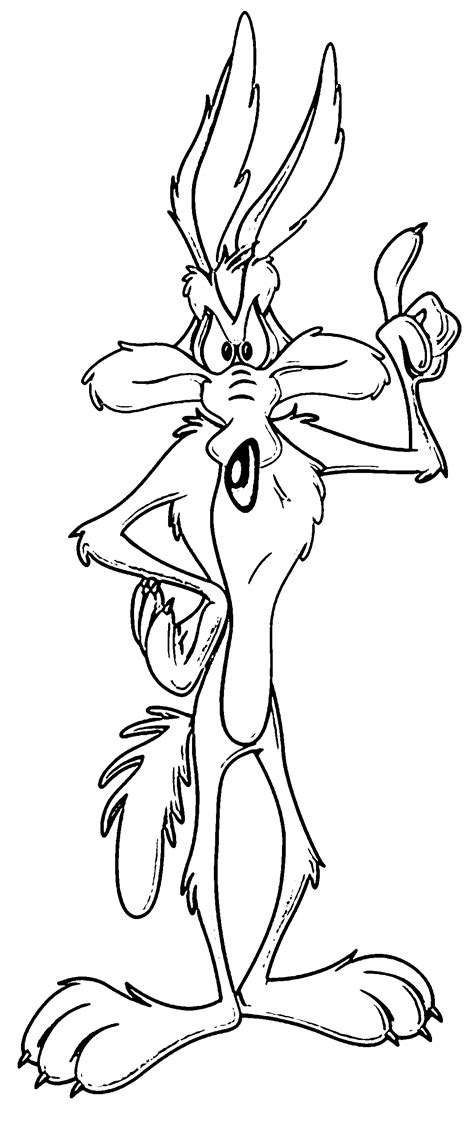 Coyote Looney Tunes Drawings Clip Art Library
