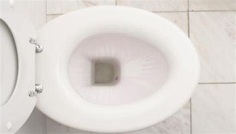 What Are The Causes Of A Toilet Bowl Not Emptying At Flush EHow UK