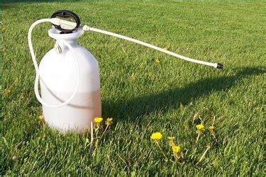 To make bermuda grass thick, apply enough fertilizer in the right ratio to feed the grass adequately. How to Get Rid of Bahia Grass | Hunker