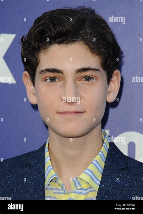 West Hollywood Ca August 8 David Mazouz At The Fox Summer Tca All