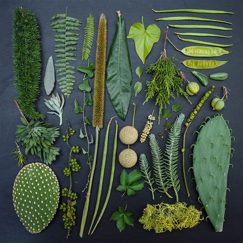 Perfectly Arranged With Natural Objects Photography Ideas By Emily Blincoe