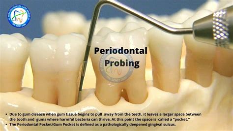 November 6 2019 Prestige Dental Care