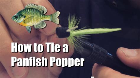 How To Tie A Popping Fly For Panfish Most Effective Fly For Panfish